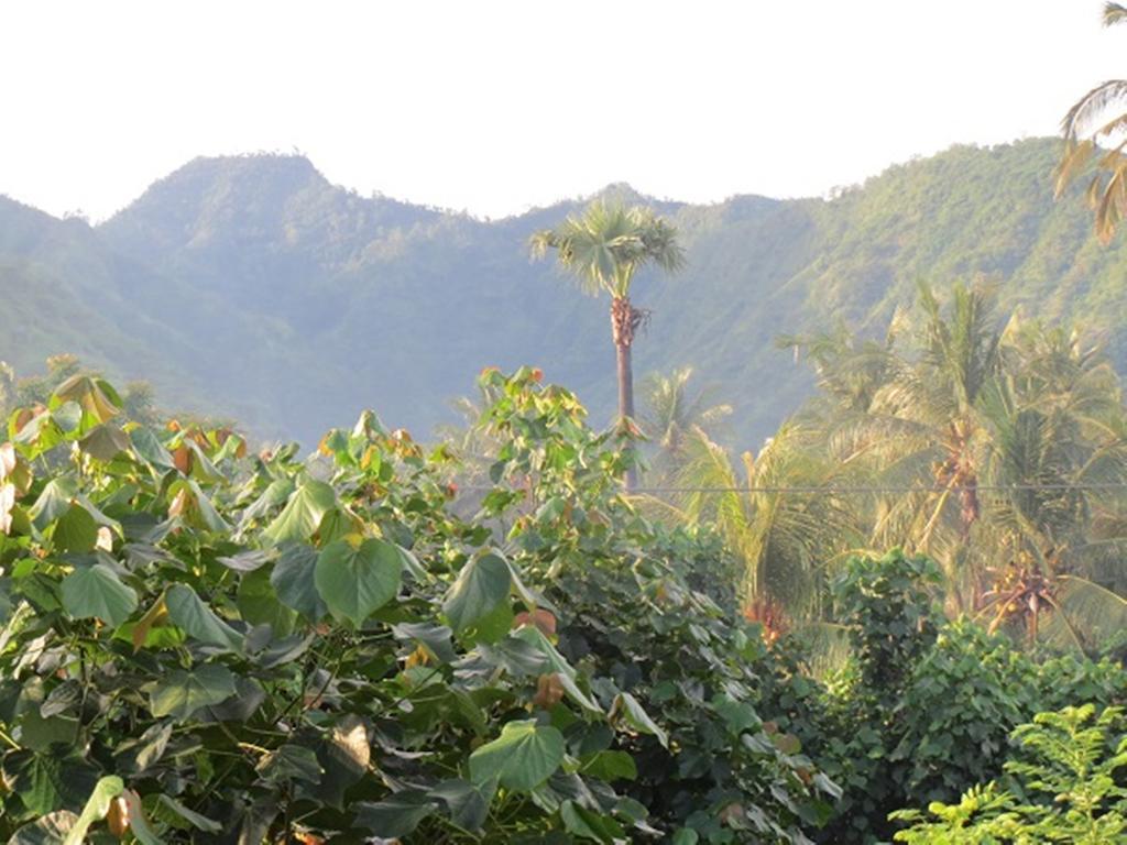 Bali Sari Homestay Амед Екстер'єр фото
